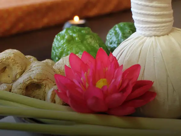 Spa still life with herbs, pink flower, and massage compress under warm lighting