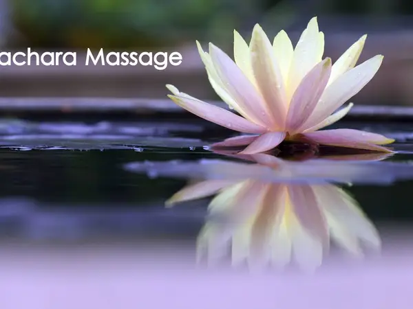 Lotus flower floating on water with Pachara Massage text blurred in background
