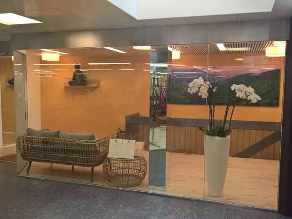 Modern spa lobby with glass wall, wicker seating, and orchid arrangement