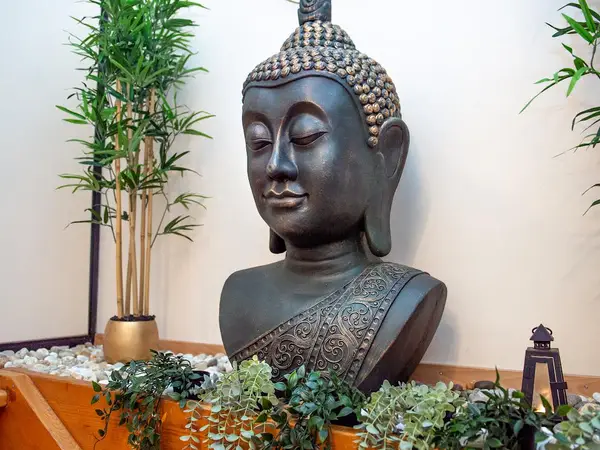 Buddha statue with potted plants in a spa interior
