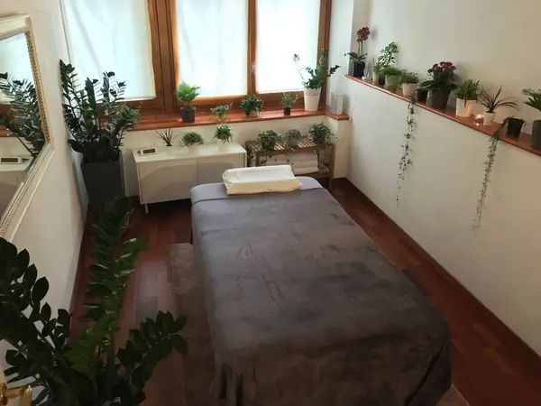 Cozy massage room with bed, plants, wood floors, and bright windows