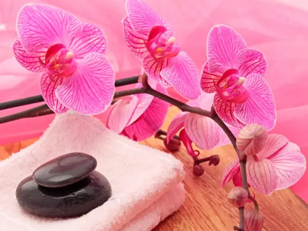 Pink orchid decor with stacked massage stones on a folded towel